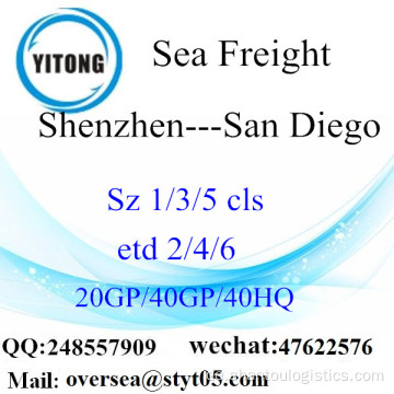 Shenzhen Port Sea Freight Versand nach San Diego